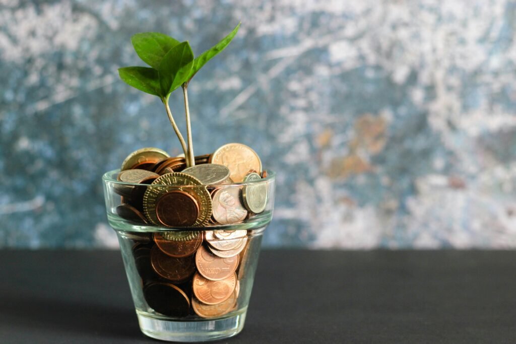 Financial Freedom Strategies